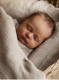 Babies photography